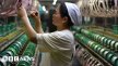 Trump tariffs: China warns nations against 'appeasing' US in trade deals